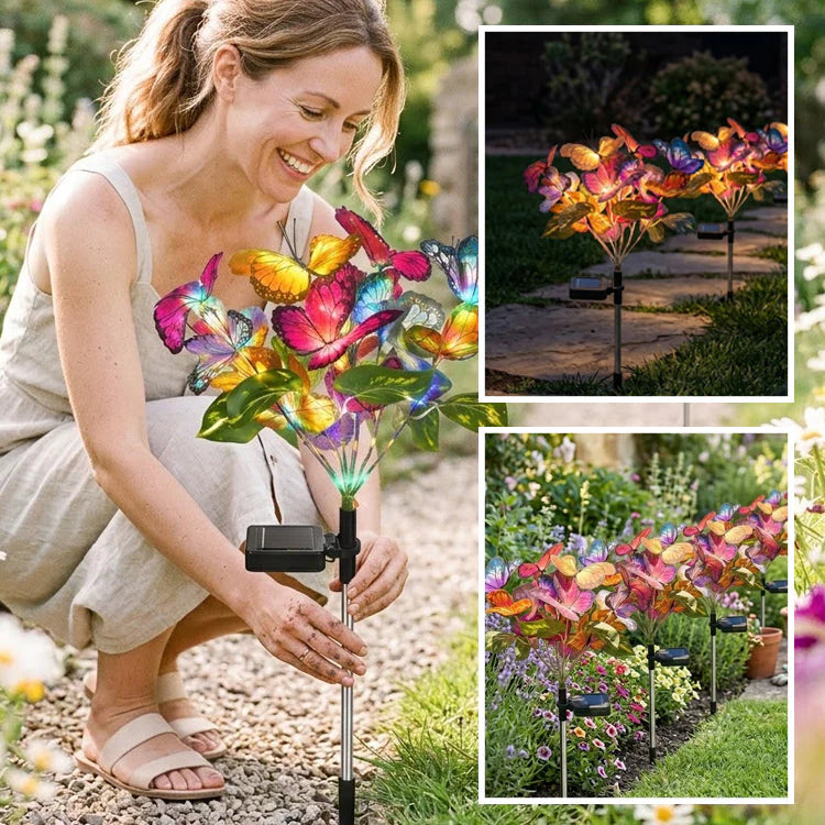 Hosday Solar Butterfly GardenDecorative Lights